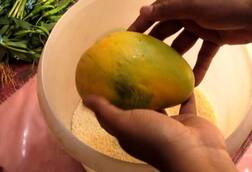 ਸਾਵਧਾਨ! ਕਿਤੇ ਅੰਬਾਂ ਦੀ ਥਾਂ ਤੁਸੀਂ ਜ਼ਹਿਰ ਤਾਂ ਨਹੀਂ ਖਾ ਰਹੇ?