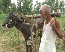 ਭਾਰਤ ਦੀ ਅਸਲ ਤਸਵੀਰ! ਇਸ ਕਿਸਾਨ ਦੀ ਕਹਾਣੀ ਸੁਣ ਰੁਕ ਜਾਣਗੇ ਸਾਹ...