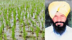 ਕਰਜ਼ੇ ਦਾ ਬੋਝ ਨਾ ਝੱਲਦਿਆਂ ਜ਼ਹਿਰੀਲੀ ਦਵਾਈ ਪੀ ਕੇ ਖ਼ੁਦਕੁਸ਼ੀ ਕਰ ਲਈ