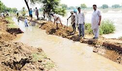 ਰਜਬਾਹੇ ਵਿੱਚ ਪਾੜ; ਝੋਨੇ ਦੀ ਫ਼ਸਲ ਡੁੱਬੀ