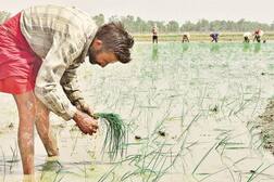 ਕਿਸਾਨਾਂ ਦੇ ਡੇਢ ਲੱਖ ਤੱਕ ਦੇ ਕਰਜ਼ੇ ਮੁਆਫ਼