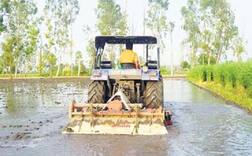 ਜੀਐੱਸਟੀ ਲਾਗੂ ਹੋਣ ਤੋਂ ਪਹਿਲਾਂ ਹੀ ਖੇਤੀ ਬਾਰੇ ਸਰਕਾਰ ਦਾ ਨਵਾਂ ਫੈਸਲਾ