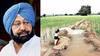ਪੰਜਾਬ ਦਾ ਪਾਣੀ ਬਚਾਉਣ ਲਈ ਮੁੱਖ ਮੰਤਰੀ ਦੀ ਨਵੀਂ ਪਹਿਲ..