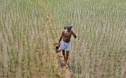 ਕਰਜ਼ਾ ਮੁਆਫੀ ਲਈ ਕਰਨਾ ਹੋਵੇਗਾ ਦੋ ਮਹੀਨਿਆਂ ਦਾ ਹੋਰ ਇੰਤਜ਼ਾਰ