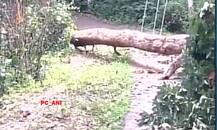 ਇਸ ਫੋਟੋ ਰਾਹੀਂ ਲੋਕਾਂ ਨੇ ਮੋਦੀ ਸਰਕਾਰ ਨੂੰ ਘਿਰਿਆ, ਸੱਚਾਈ ਜਾਣਕੇ ਹੋ ਜਾਵੋਗੇ ਹੈਰਾਨ..