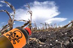 ਬਠਿੰਡਾ ਦੇ ਇੱਕ ਹੋਰ ਕਿਸਾਨ ਨੇ ਕੀਤੀ ਖੁਦਕੁਸ਼ੀ