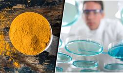 ਖੋਜ: ਹਲਦੀ ਦਾ ਵੱਡਾ ਫਾਇਦਾ ਮਿਲਿਆ..