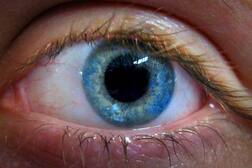 ਵਿਗਿਆਨੀਆਂ ਨੂੰ ਮਿਲੀ ਵੱਡੀ ਕਾਮਯਾਬੀ..