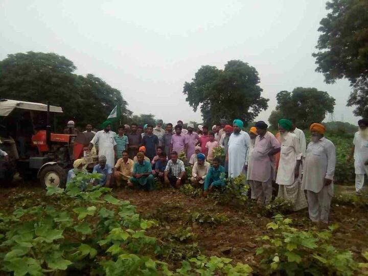 ਕਿਸਾਨ ਆਗੂ ਗੋਰਾ ਸਿੰਘ ਭੈਣੀ ਬਾਘਾ ਮਹਿੰਦਰ ਸਿੰਘ ਦਿਆਲਪੁਰਾ ਮਹਿੰਦਰ ਸਿੰਘ ਭੈਣੀ ਬਾਘਾ ਨੇ ਇਲਜ਼ਾਮ ਲਾਇਆ ਖੇਤੀਬਾੜੀ ਮਹਿਕਮੇ ਨੇ ਕੀੜੇ ਮਾਰ ਦਵਾਈਆਂ ਦੇ ਸੈਂਪਲ ਭਰੇ ਸੀ। 34 ਸੈਂਪਲਾਂ ਵਿੱਚੋਂ 26 ਸੈਂਪਲ ਫ਼ੇਲ੍ਹ ਹੋ ਗਏ ਹਨ। ਕਿਹੜੀਆਂ ਦਵਾਈਆਂ ਦੇ ਸੈਂਪਲ ਫ਼ੇਲ੍ਹ ਹਨ ਜੋ ਕਿਸਾਨਾਂ ਨੂੰ ਨਹੀਂ ਵਰਤਣੀ ਚਾਹੀਦੀ ਦੀ ਲਿਸਟ ਜਾਰੀ ਨਹੀਂ ਕੀਤੀ ਗਈ। ਉਨ੍ਹਾਂ ਇਲਜ਼ਾਮ ਲਾਇਆ ਹੈ ਕਿ ਲਿਸਟ ਜਾਰੀ ਨਾ ਕਰਨ ਤੇ ਪੈਸਟੀਸਾਈਡ ਡੀਲਰਾਂ ਨਾਲ ਮਿਲੀਭੁਗਤ ਹੋਣ ਤੋਂ ਇਨਕਾਰ ਨਹੀਂ ਕੀਤਾ ਜਾ ਸਕਦਾ।