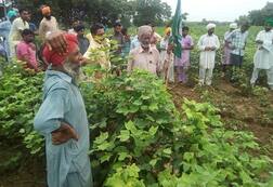 ਕਿਸਾਨਾਂ ਨੂੰ ਹਦਾਇਤਾਂ, ਇੰਨਾਂ ਨੰਬਰਾਂ ਤੇ ਕਰੋ ਕਾਲ