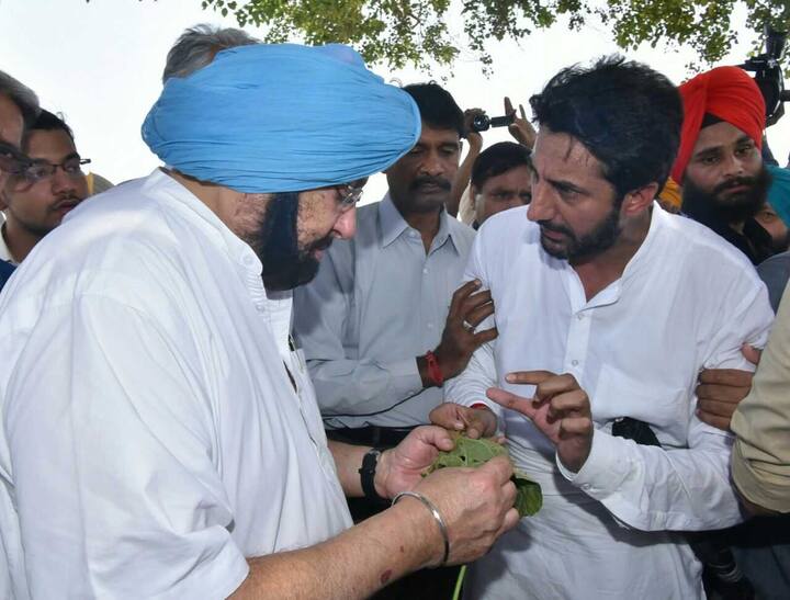 ਮੁੱਖ ਮੰਤਰੀ ਨੇ ਕਿਸਾਨਾਂ ਨੂੰ ਜਾਇਜ਼ ਕੀਟਨਾਸ਼ਕਾਂ ਦੀ ਸਪਲਾਈ ਯਕੀਨੀ ਬਣਾਉਣ ਲਈ ਸਬੰਧਤ ਅਧਿਕਾਰੀਆਂ ਨੂੰ ਵੀ ਨਿਰਦੇਸ਼ ਦਿੱਤੇ ਹਨ ਤਾਂ ਜੋ ਚਿੱਟੇ ਮੱਛਰ ‘ਤੇ ਕਾਬੂ ਪਾਇਆ ਜਾ ਸਕੇ। 