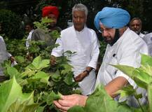 ਫ਼ਸਲਾਂ ਦਾ ਜਾਇਜ਼ਾ ਲੈਣ ਖੇਤਾਂ ਵਿੱਚ ਪਹੁੰਚੇ ਕੈਪਟਨ, ਵੇਖੋ ਤਸਵੀਰਾਂ