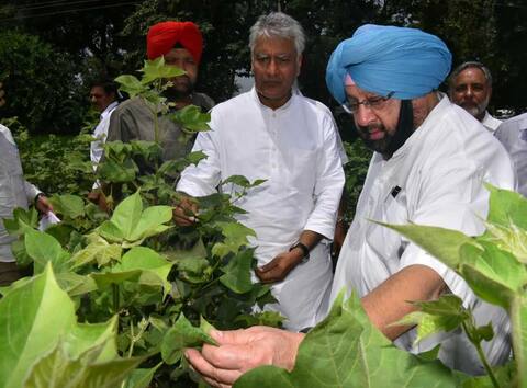 ਫ਼ਸਲਾਂ ਦਾ ਜਾਇਜ਼ਾ ਲੈਣ ਖੇਤਾਂ ਵਿੱਚ ਪਹੁੰਚੇ ਕੈਪਟਨ, ਵੇਖੋ ਤਸਵੀਰਾਂ ਫ਼ਸਲਾਂ ਦਾ ਜਾਇਜ਼ਾ ਲੈਣ ਖੇਤਾਂ ਵਿੱਚ ਪਹੁੰਚੇ ਕੈਪਟਨ, ਵੇਖੋ ਤਸਵੀਰਾਂ