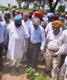 ਫ਼ਸਲਾਂ ਦਾ ਜਾਇਜ਼ਾ ਲੈਣ ਖੇਤਾਂ ਵਿੱਚ ਪਹੁੰਚੇ ਕੈਪਟਨ, ਵੇਖੋ ਤਸਵੀਰਾਂ