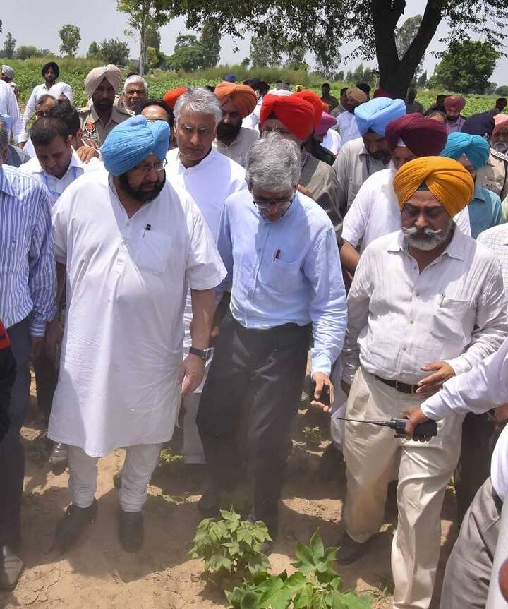 ਮੁੱਖ ਮੰਤਰੀ ਨਾਲ ਸੀਨੀਅਰ ਅਧਿਕਾਰੀ ਵੀ ਸਨ। ਮੁੱਖ ਮੰਤਰੀ ਨੇ ਕਿਸਾਨਾਂ ਨੂੰ ਹਰ ਸੰਭਵ ਮਦਦ ਮੁਹੱਈਆ ਕਰਾਉਣ ਲਈ ਖੇਤੀਬਾੜੀ ਵਿਭਾਗ ਨੂੰ ਨਿਰਦੇਸ਼ ਦਿੱਤੇ ਹਨ। 