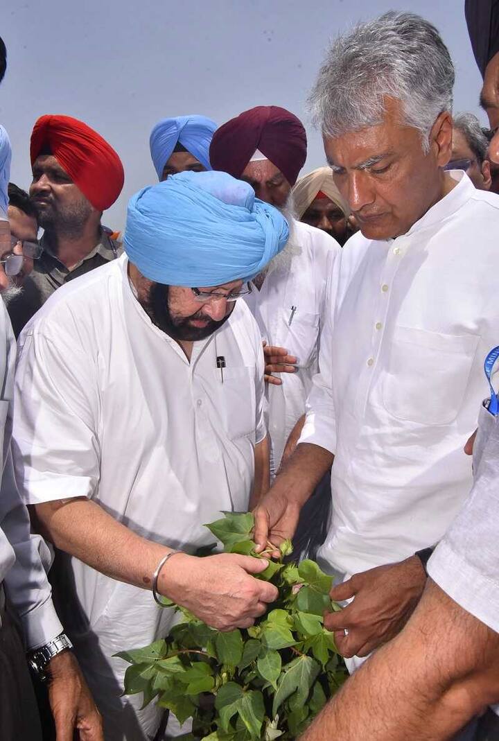 ਉਨ੍ਹਾਂ ਨੇ ਚੇਤਾਵਨੀ ਦਿੱਤੀ ਹੈ ਕਿ ਇਸ ਬਾਰੇ ਕਿਸੇ ਵੀ ਤਰ੍ਹਾਂ ਦੀ ਢਿੱਲ ਸਹਿਣ ਨਹੀਂ ਕੀਤੀ ਜਾਵੇਗੀ। ਮੁੱਖ ਮੰਤਰੀ ਨੇ ਖੇਤੀਬਾੜੀ ਵਿਭਾਗ ਤੇ ਪੁਲਿਸ ਅਥਾਰਟੀ ਨੂੰ ਜਾਅਲੀ ਕੀਟਨਾਸ਼ਕਾਂ ਦੇ ਵਿਕਰੀ ਵਿਰੁੱਧ ਤਿੱਖੀ ਕਾਰਵਾਈ ਕਰਨ ਲਈ ਨਿਰਦੇਸ਼ ਦਿੱਤੇ ਹਨ।