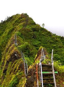 ਹਰ ਕੋਈ ਚੜ੍ਹਨਾ ਚਾਹੁੰਦਾ ਇਹ \