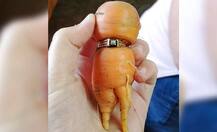 ਪਤੀ ਦੀ ਮੌਤ ਮਗਰੋਂ ਗਾਜ਼ਰ ਨੇ ਪੂਰੀ ਕੀਤੀ ਔਰਤ ਦੀ ਮੁਰਾਦ