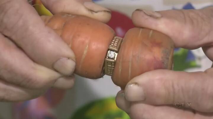 ਰਿੰਗ ਦੇਖਣ ਬਾਅਦ ਮੈਰੀ ਨਾਮ ਦੀ ਇਸ ਮਹਿਲਾ ਦੀ ਖ਼ੁਸ਼ੀ ਦਾ ਟਿਕਾਣਾ ਨਹੀਂ ਰਿਹਾ। ਹਾਲਾਂਕਿ ਮੈਰੀ ਦੇ ਪਤੀ ਦਾ ਹੁਣ ਦੇਹਾਂਤ ਹੋ ਗਿਆ ਹੈ ਪਰ ਮੈਰੀ ਨੂੰ ਇਸ ਗੱਲ ਦਾ ਦੁੱਖ ਹੈ ਕਿ ਉਨ੍ਹਾਂ ਨੇ ਆਪਣੇ ਪਤੀ ਤੋਂ ਸੱਚ ਛੁਪਾਇਆ। ਮੈਰੀ ਕਹਿੰਦੀ ਹੈ ਕਿ ਉਹ ਹੁਣ ਇਸ ਅੰਗੂਠੀ ਨੂੰ ਜ਼ਿਆਦਾ ਸਾਵਧਾਨੀ ਨਾਲ ਰੱਖੇਗੀ।