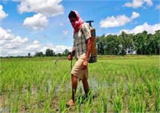 ਪੁਲਿਸ ਦਾ ਛਾਪਾ: ਮਿਆਦ ਪੁਗੀਆਂ ਕੀੜੇਮਾਰ ਦਵਾਈਆਂ ਫੜੀਆਂ Agriculture News ਪੁਲਿਸ ਦਾ ਛਾਪਾ: ਮਿਆਦ ਪੁਗੀਆਂ ਕੀੜੇਮਾਰ ਦਵਾਈਆਂ ਫੜੀਆਂ