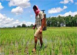 ਪੁਲਿਸ ਦਾ ਛਾਪਾ: ਮਿਆਦ ਪੁਗੀਆਂ ਕੀੜੇਮਾਰ ਦਵਾਈਆਂ ਫੜੀਆਂ