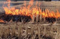 ਕਿਸਾਨਾਂ ਲਈ ਖੁਸ਼ਖਬਰੀ! ਪਰਾਲੀ ਸਾੜਨ ਦੀ ਨਹੀਂ ਜ਼ਰੂਰਤ 