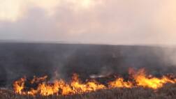 ਪੰਜਾਬ ਵਿੱਚ ਪਰਾਲੀ ਸਾੜਨ ਦਾ 3 ਸਾਲਾ ਟੁੱਟਿਆ ਰਿਕਾਰਡ, ਵਾਪਰ ਚੁੱਕੀਆਂ ਨੇ 10,000 ਤੋਂ ਵਧ ਘਟਨਾਵਾਂ