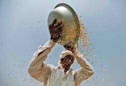 ਸੰਘਰਸ਼ ਦੀ ਵੱਡੀ ਜਿੱਤ, ਕਿਸਾਨਾਂ ਦਾ ਕਰਜ਼ਾ ਮੁਆਫ਼..