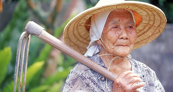 ਕਿਕਾਈ ਟਾਪੂ 'ਤੇ ਰਹਿਣ ਵਾਲੀ ਨਬੀ ਤਾਜਿਮਾ ਜਾਪਾਨ ਦੀ ਸਭ ਤੋਂ ਬਜ਼ੁਰਗ ਅੌਰਤ ਹੈ। ਸਾਲ 1900 'ਚ ਜਨਮੀ ਇਸ ਮਹਿਲਾ ਦੀ ਉਮਰ 117 ਸਾਲ ਹੈ। ਉਥੇ ਸਭ ਤੋਂ ਬੁੱਢੇ ਮਰਦ ਮਾਸਾਜੋ ਨੋਨਕਾ 112 ਸਾਲ ਦੇ ਹਨ।