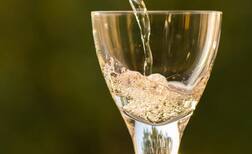 ਸ਼ਰਾਬ ਬਾਰੇ ਇਹ ਗੱਲਾਂ ਉਡਾ ਦੇਣਗੀਆਂ ਤੁਹਾਡੀ ਹੋਸ਼!