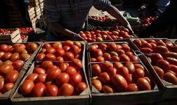 ਪਾਕਿਸਤਾਨ 'ਚ ਟਮਾਟਰ 300 ਰੁਪਏ ਕਿਲੋ, ਭਾਰਤ ਤੋਂ ਨਹੀਂ ਖਰੀਦ ਰਿਹਾ