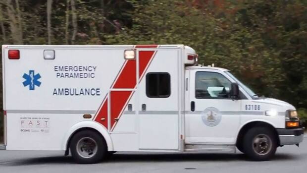 ਸਵੇਰ ਸਾਰ ਉਹ ਸਰੀ ਦੇ ਗਿਲਫਰਡ ਖੇਤਰ ਵਿੱਚ ਸੜਕ ਕੰਢੇ ਪੈਦਲ ਜਾ ਰਿਹਾ ਸੀ ਕਿ ਕਿਸੇ ਵਾਹਨ ਨੇ ਟੱਕਰ ਮਾਰ ਦਿੱਤੀ।