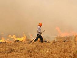 ਕਿਸਾਨਾਂ ਨੂੰ ਪਰਾਲੀ ਸਾੜਨ ਤੋਂ ਰੋਕਣ ਲਈ ਸਰਕਾਰ ਨੇ ਅਧਿਆਪਕਾਂ ਨੂੰ ਕੀਤਾ ਅੱਗੇ