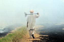 ਪਰਾਲੀ ਸਾੜਨ ਤੋਂ ਰੋਕਣ ਵਾਲੀ ਸਰਕਾਰ ਦੀ ਇਹ ਹੈ ਅਸਲੀਅਤ!