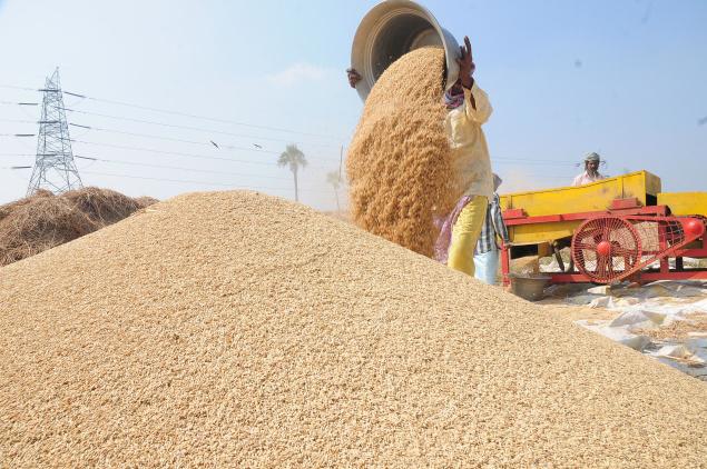 ਝੋਨੇ ਦੀ ਅਦਾਇਗੀ ਲਈ 28,262.84 ਕਰੋੜ ਮਨਜ਼ੂਰ