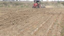 ਪਰਾਲੀ ਨੂੰ ਸਾਂਭਣ ਮੌਕੇ ਨੌਜਵਾਨ ਦੀ ਤਵੀਆਂ ਹੇਠ ਆਕੇ ਹੋਈ ਮੌਤ