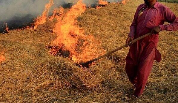 Burning Paddy Straw Issue ਸਰਕਾਰ ਤੋਂ ਬਾਗ਼ੀ ਹੋਏ ਇਸ ਪਿੰਡ ਦੇ ਕਿਸਾਨ...