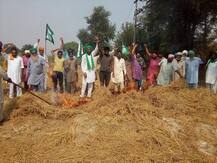 ਕਿਸਾਨ ਹੋਏ ਬਾਗੀ, ਸ਼ਰੇਆਮ ਪਰਾਲੀ ਸਾੜੀ