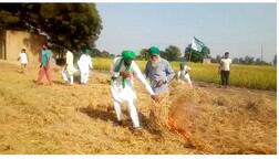 ਪੰਜਾਬ 'ਚ ਛਾਇਆ ਪਰਾਲੀ ਸੜਨ ਦਾ ਮੁੱਦਾ, ਕਿਸਾਨਾਂ ਵੱਲੋਂ ਵੱਡਾ ਐਲਾਨ