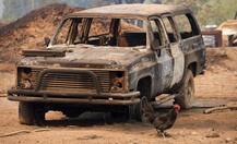 ਜੰਗਲਾਂ \'ਚ ਅੱਗ: 23 ਮੌਤਾਂ, 550 ਲਾਪਤਾ,3500 ਤੋਂ ਜ਼ਿਆਦਾ ਮਕਾਨ ਸੁਆਹ 