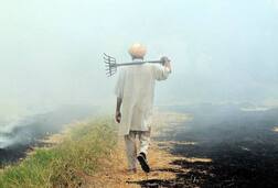 30 ਤੋਂ ਵੱਧ ਕਿਸਾਨਾਂ ਨੂੰ ਦਿੱਲੀ ਪੇਸ਼ ਕਰੇਗੀ ਪੰਜਾਬ ਸਰਕਾਰ