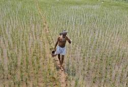 ਕੈਪਟਨ ਸਰਕਾਰ ਦੇ ਲਾਰਿਆਂ ਦਾ ਸ਼ਰਮਨਾਕ ਸੱਚ! 80 ਅੰਨਦਾਤੇ ਫੌਤ