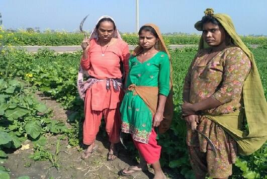 News ਮਜ਼ਦੂਰਾਂ ਨੂੰ ਸਰਕਾਰ ਦਾ ਦੀਵਾਲੀ ਦਾ ‘ਤੋਹਫ਼ਾ’, ਦੋ ਰੁਪਏ ਦਿਹਾੜੀ