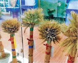 ਕਣਕ ਦੀ ਨਵੀਂਆਂ ਕਿਸਮਾਂ, ਏਕੜ ਦਾ ਬੰਪਰ ਝਾੜ