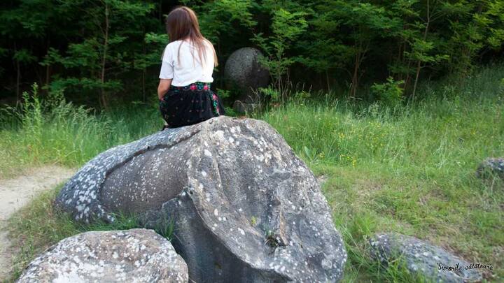 ਇਸਦਾ ਕਾਰਨ ਇਹਨਾਂ ਵਿੱਚ ਮੌਜੂਦ ਮਿਨਰਲ ਸਾਲਟ ਦੀ ਭਾਰੀ ਮਾਤਰਾ ਹੋ ਸਕਦੀ ਹੈ ਜੋ ਪਾਣੀ ਦੇ ਪੈਂਦੇ ਹੀ ਫੈਲਣ ਲੱਗ ਜਾਦੇ ਹਨ। ਹਾਲਾਂਕਿ ਇਸ ਗੱਲ ਨੂੰ ਹੁਣ ਤੱਕ ਸਿੱਧ ਨਹੀਂ ਕੀਤਾ ਜਾ ਸਕਿਆ ਹੈ। 