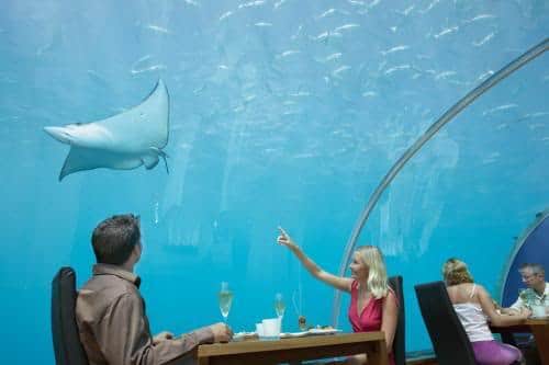 ਇਸ ਰੈਸਟੋਰੈਂਟ ਦਾ ਨਾਮ ਹੈ Itaah The Undersea Restaurent। ਕੱਚ ਦਾ ਬਣਿਆ ਇਹ ਰੈਸਟੋਰੈਂਟ ਪਾਣੀ 'ਚ ਸਮੁੰਦਰੀ ਜੀਵਾਂ ਨਾਲ ਘਿਰਿਆ ਰਹਿੰਦਾ ਹੈ। 