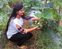 ਨੌਕਰੀ ਛੱਡ ਖੇਤੀ ਕੀਤੀ: 27 ਸਾਲਾ ਮੁਟਿਆਰ ਨੇ ਪਾਈ ਕਹਿੰਦੇ-ਕਹਾਉਂਦੇ ਕਿਸਾਨਾਂ ਨੂੰ ਮਾਤ