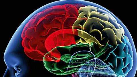 ਵੱਡੀ ਖੋਜ: ਹੁਣ ਦਿਮਾਗ਼ ਨੂੰ ਵੀ ਪੜ੍ਹਿਆ ਜਾ ਸਕਦਾ ਵੱਡੀ ਖੋਜ: ਹੁਣ ਦਿਮਾਗ਼ ਨੂੰ ਵੀ ਪੜ੍ਹਿਆ ਜਾ ਸਕਦਾ