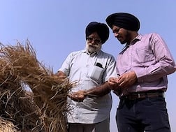 ਸਰਕਾਰ ਦੀ ਮੰਨ ਕੇ ਪਰਾਲੀ ਨਾ ਸਾੜੀ, ਕਿਸਾਨ ਨੂੰ ਲੱਗਾ ਸਵਾ ਲੱਖ ਦਾ ਰਗੜਾ