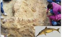 ਭਾਰਤ \'ਚ ਮਿਲਿਆ ਅਨੋਖਾ ਕੰਕਾਲ, ਦੁਨੀਆ \'ਚ ਚਰਚਾ..